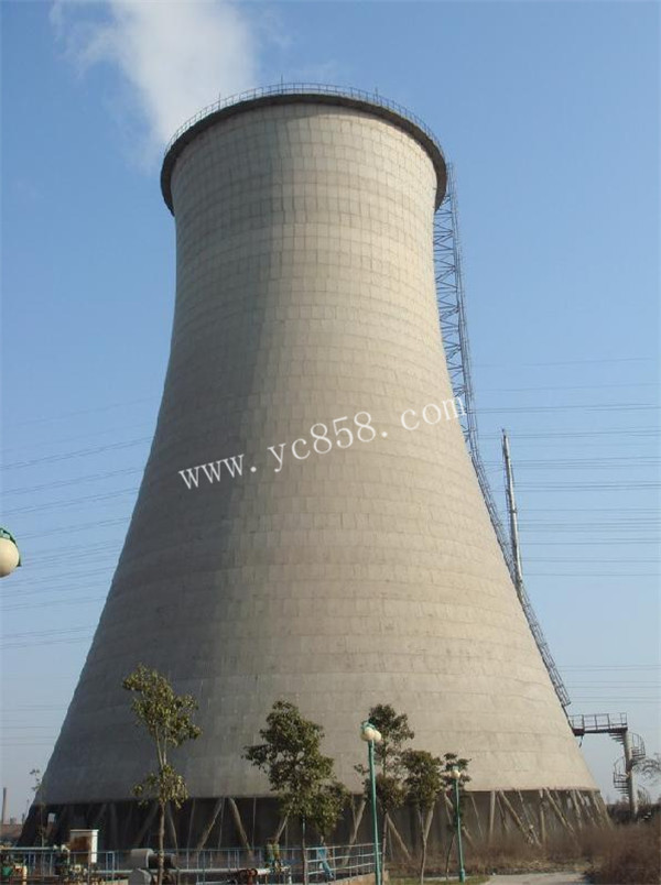8641082.jpg